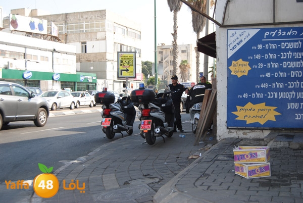 blomfeiled 803 (13).JPG